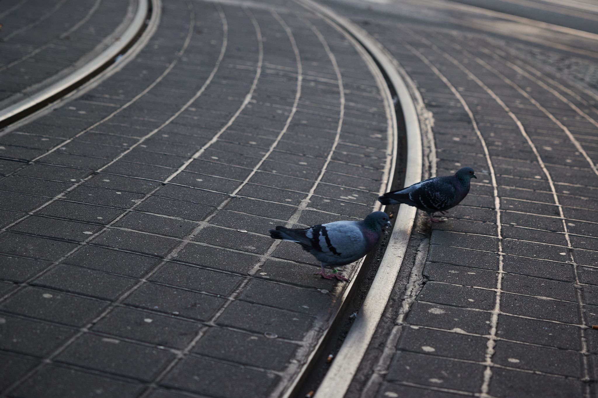 Streit um Tarife eskaliert: Streiks in Deutschland härter als früher