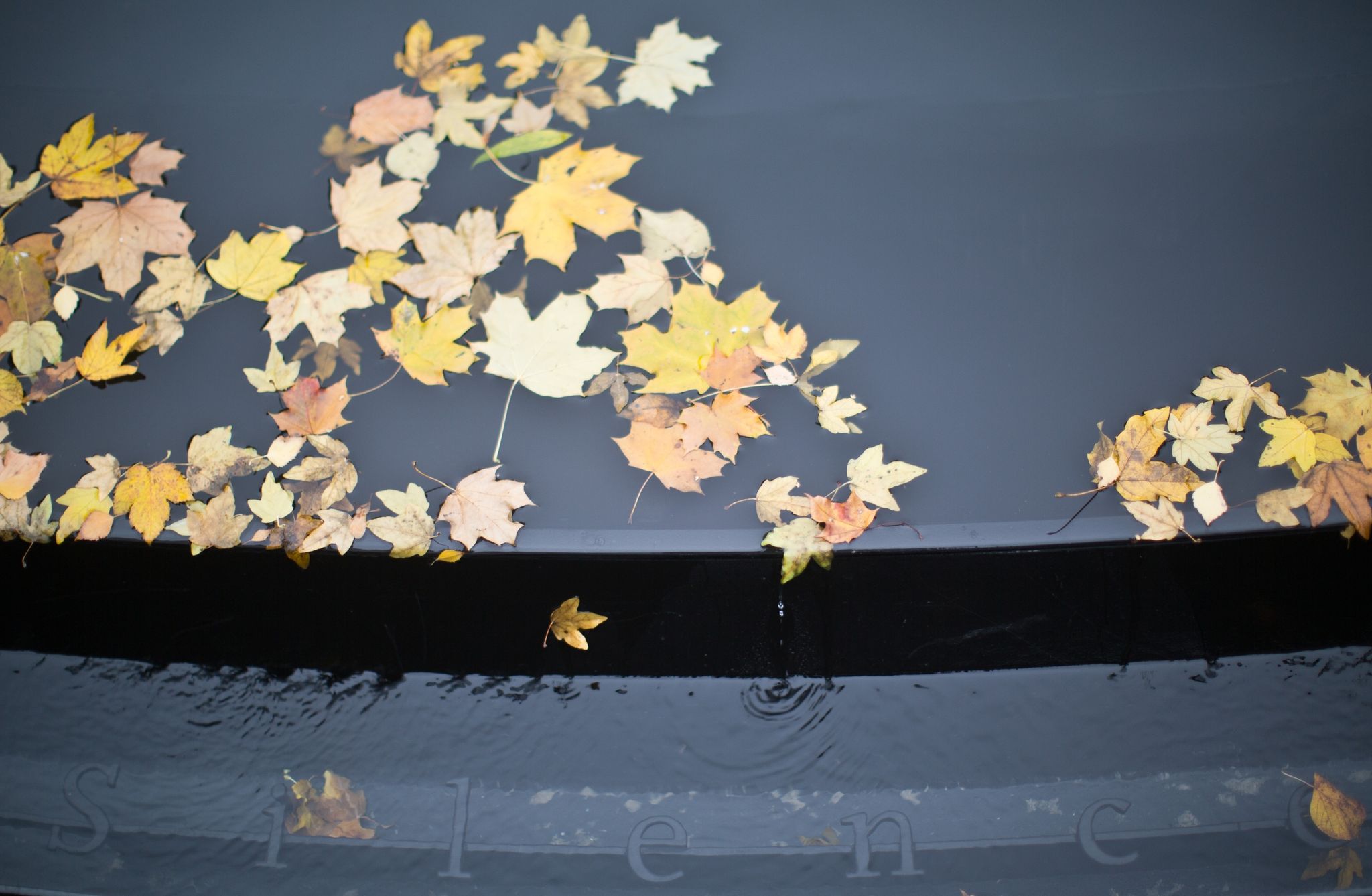 Daten zur Ermordung von Sinti und Roma werden gebündelt