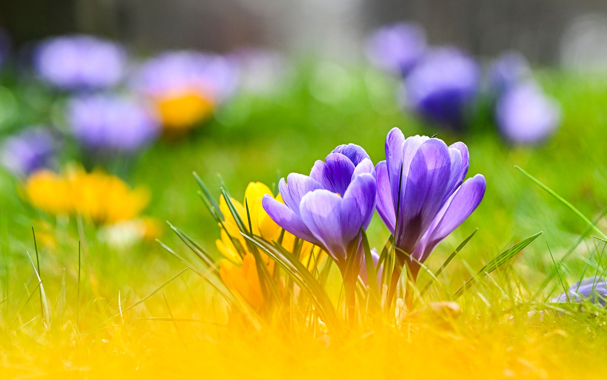 Pünktlich zum Frühlingsstart vielerorts warm und sonnig