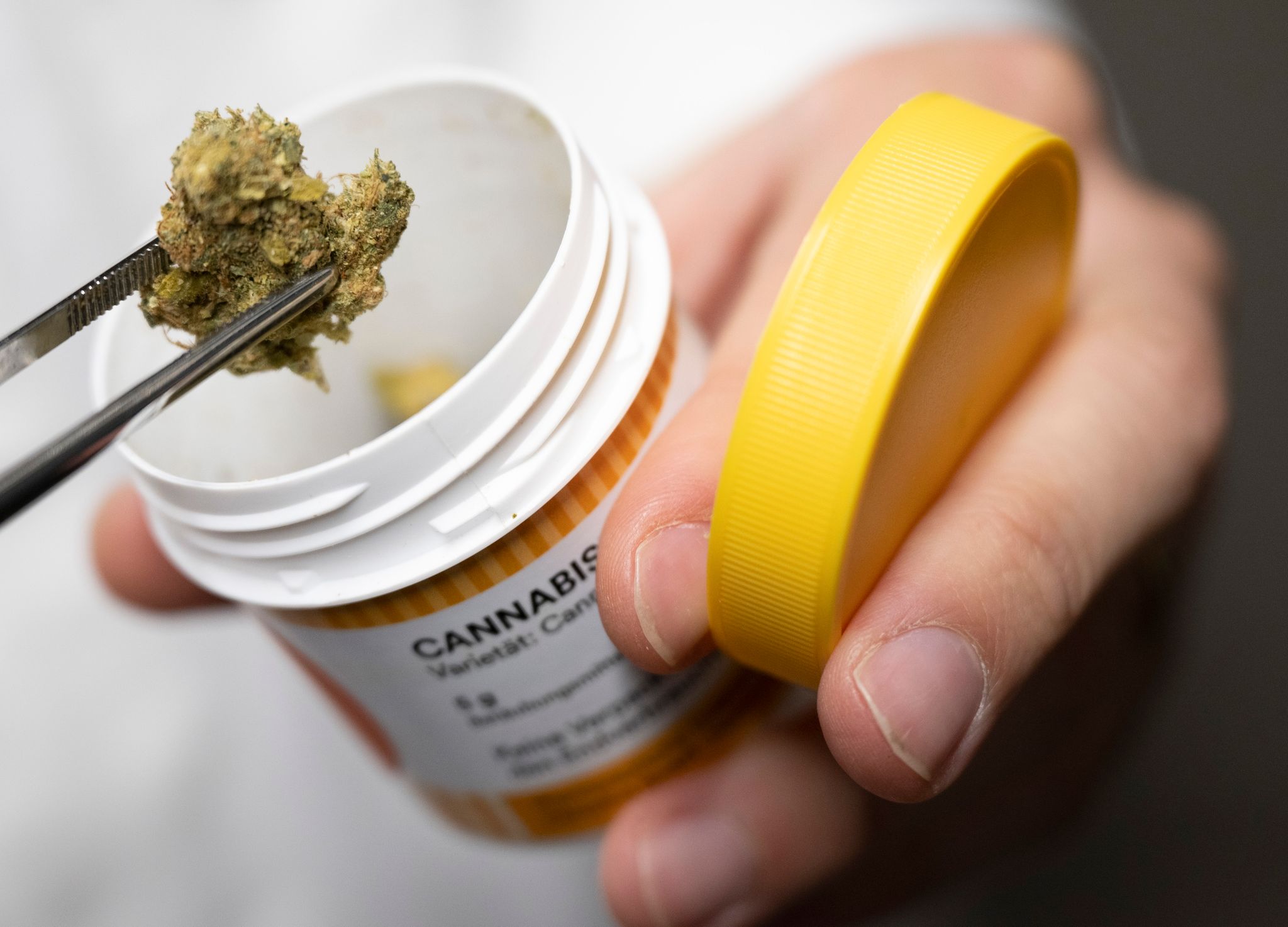 Cannabis-Legalisierung in Deutschland: Teillegalisierung ab April