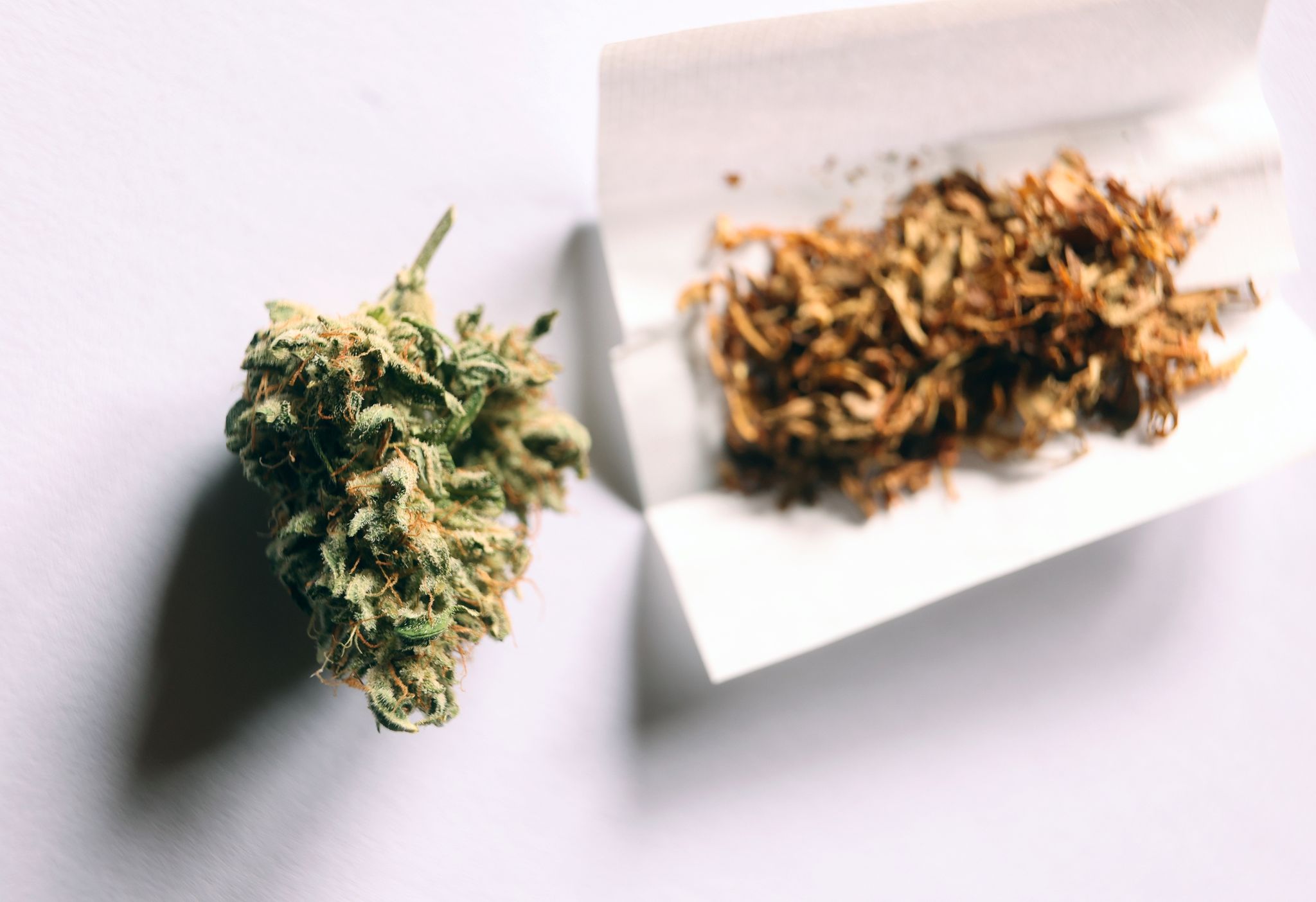 Experten fordern mehr Prävention für Jugendliche nach Cannabis-Freigabe