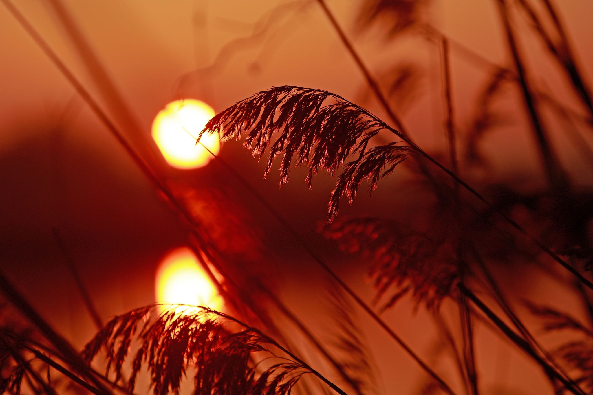 Februar war der wärmste seit Aufzeichnungsbeginn