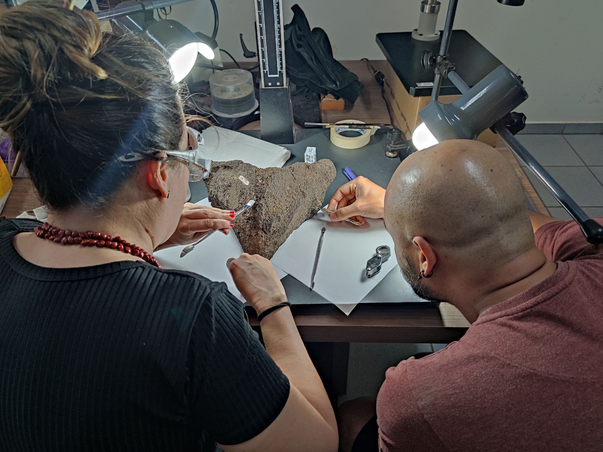 Forscher entdecken riesige fossile Süßwasserschildkröte