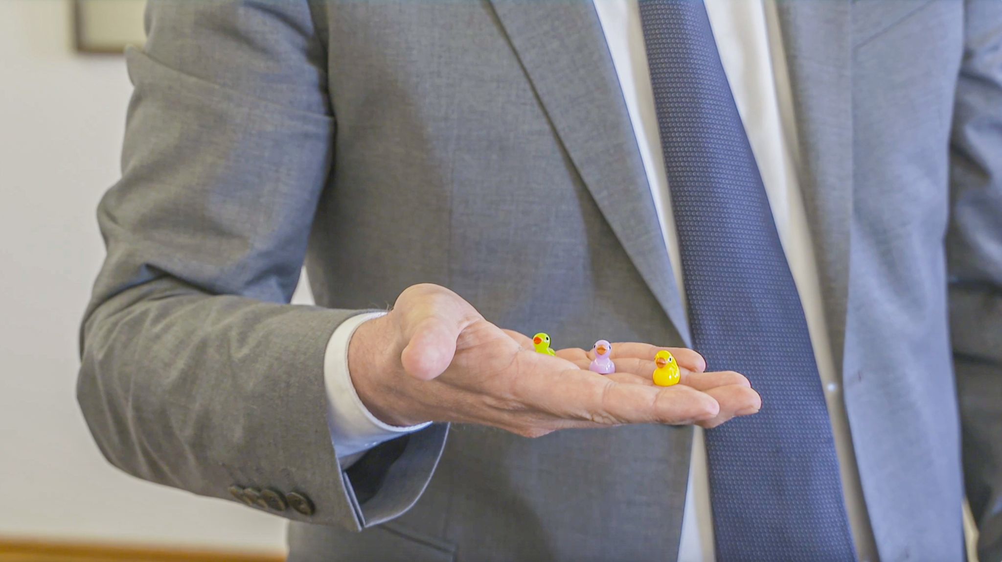 Enten besetzen Ulmer Rathaus