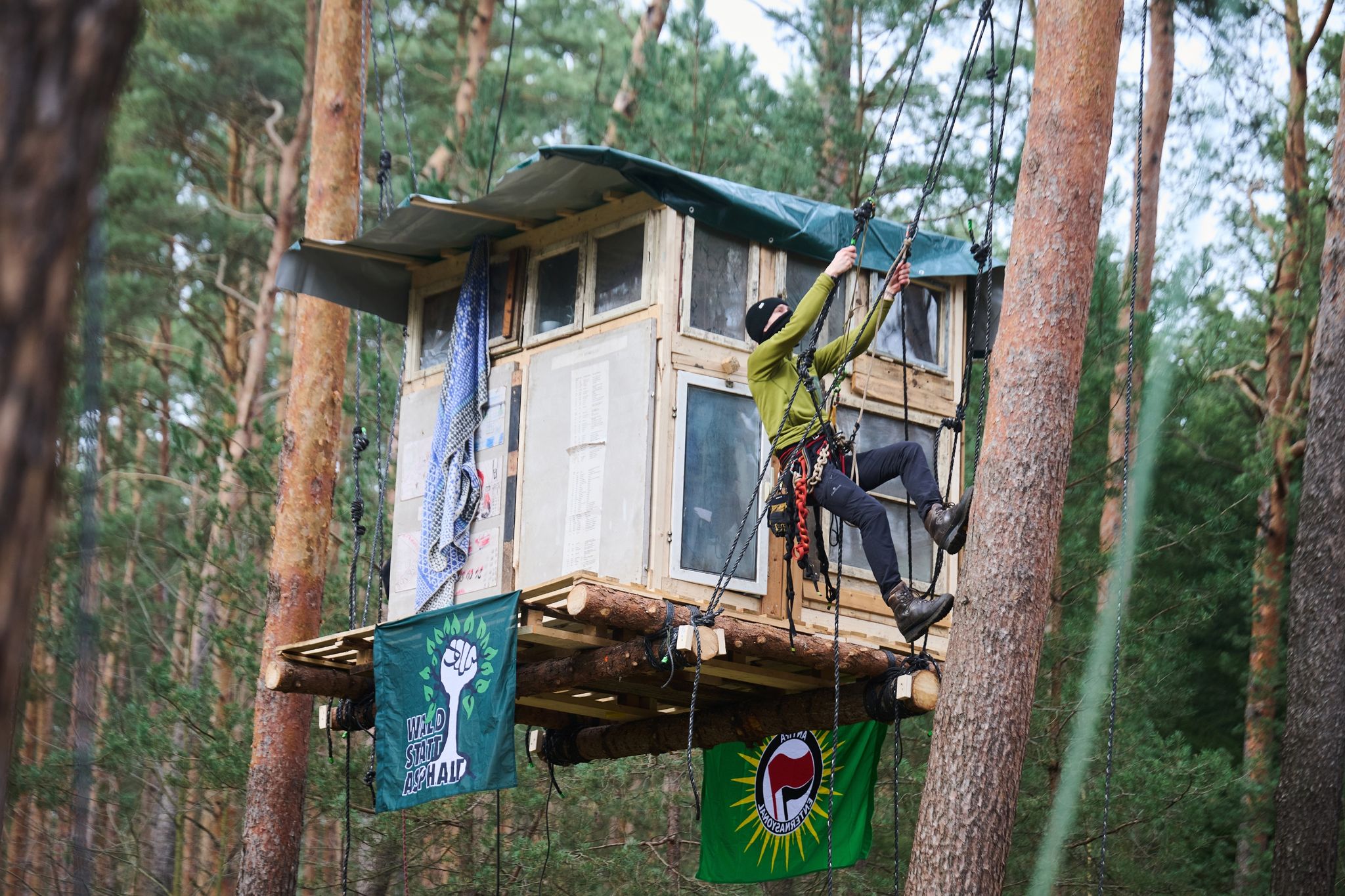 Umweltschützer gegen Tesla: Protestcamp gegen Erweiterungspläne in Grünheide