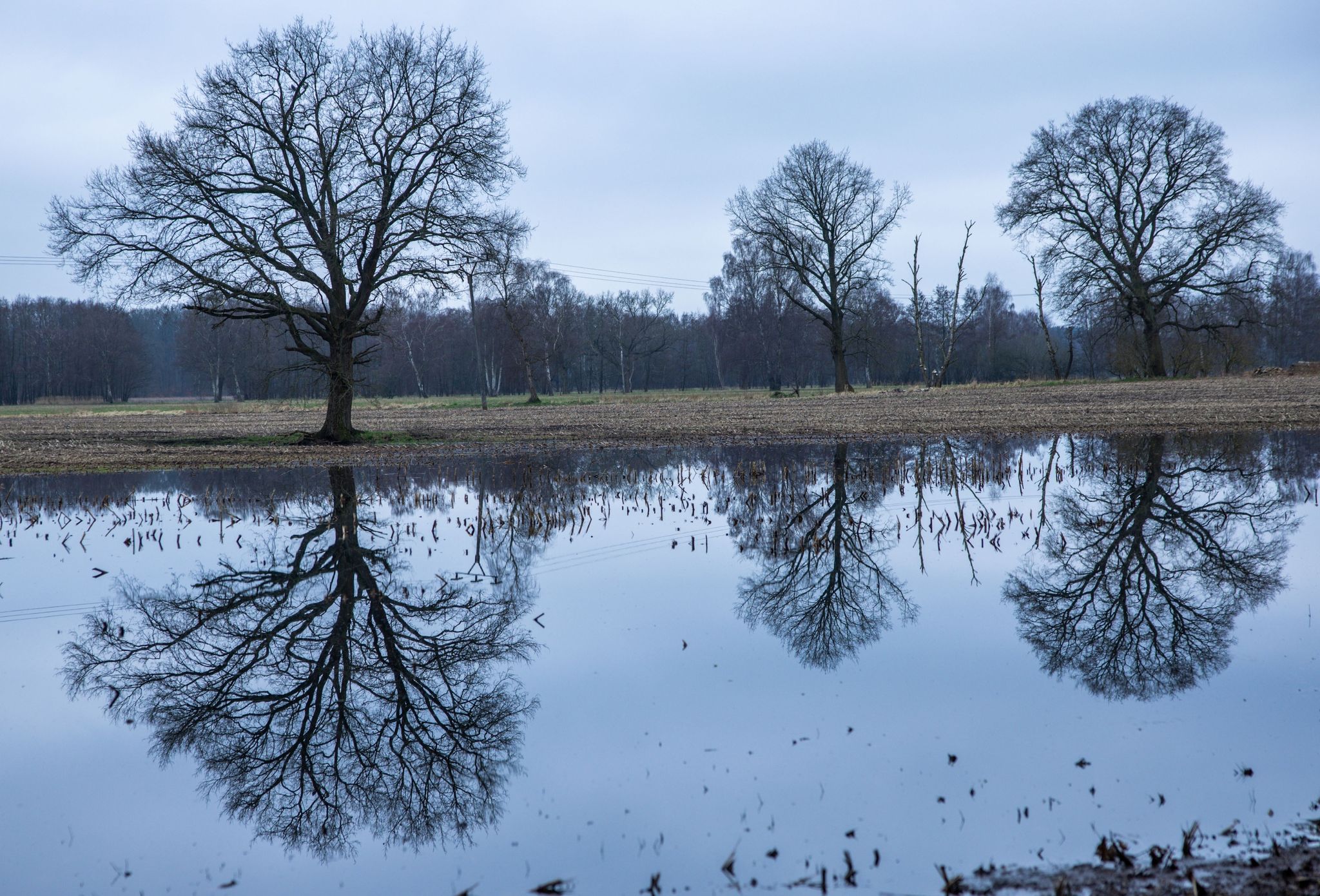 Trockenes Wetter dringend benötigt, Landwirte hoffen auf bessere Bedingungen