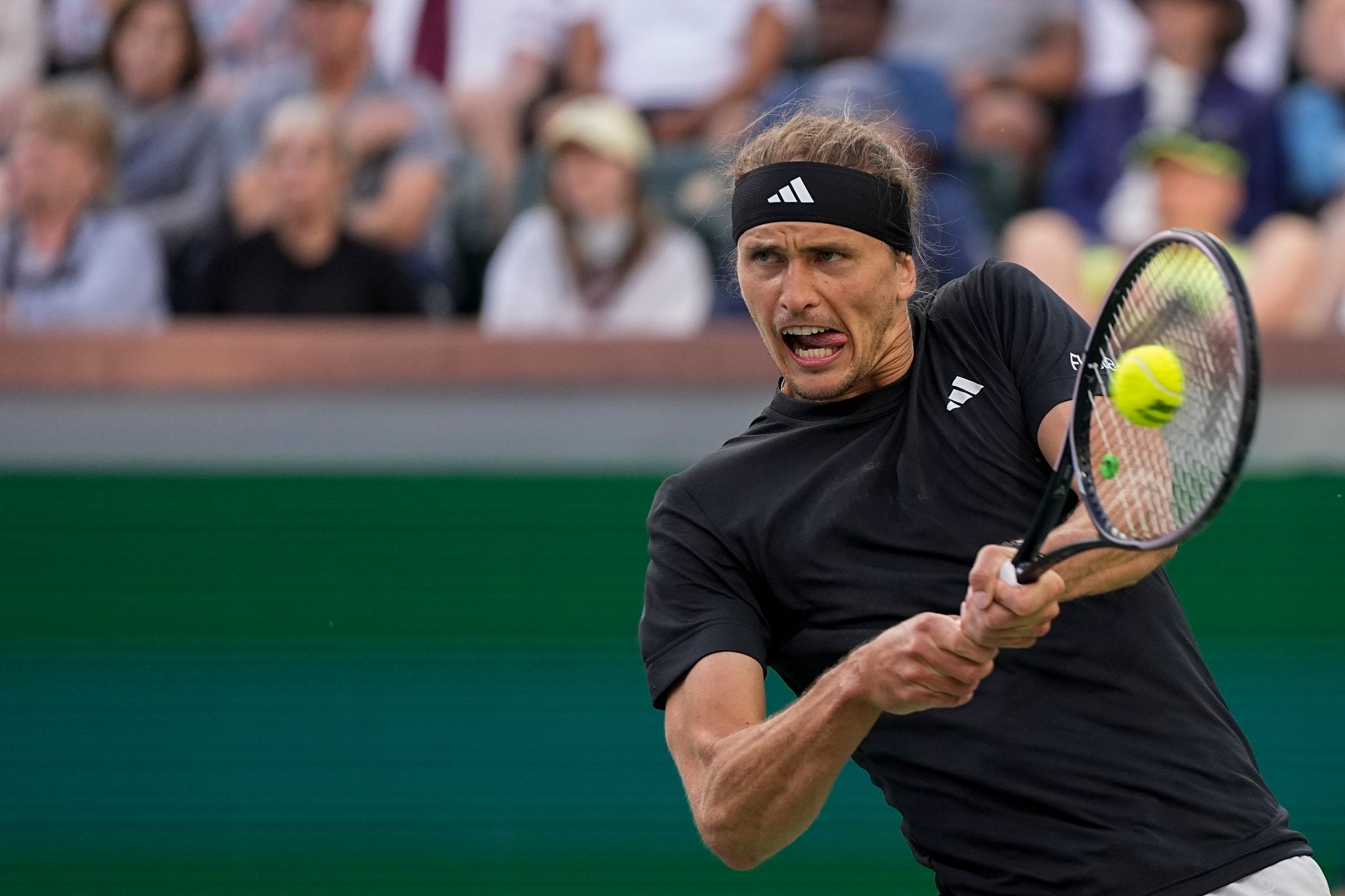 Alcaraz zu groß für Zverev – Bienenschwarm sorgt für Aufsehen