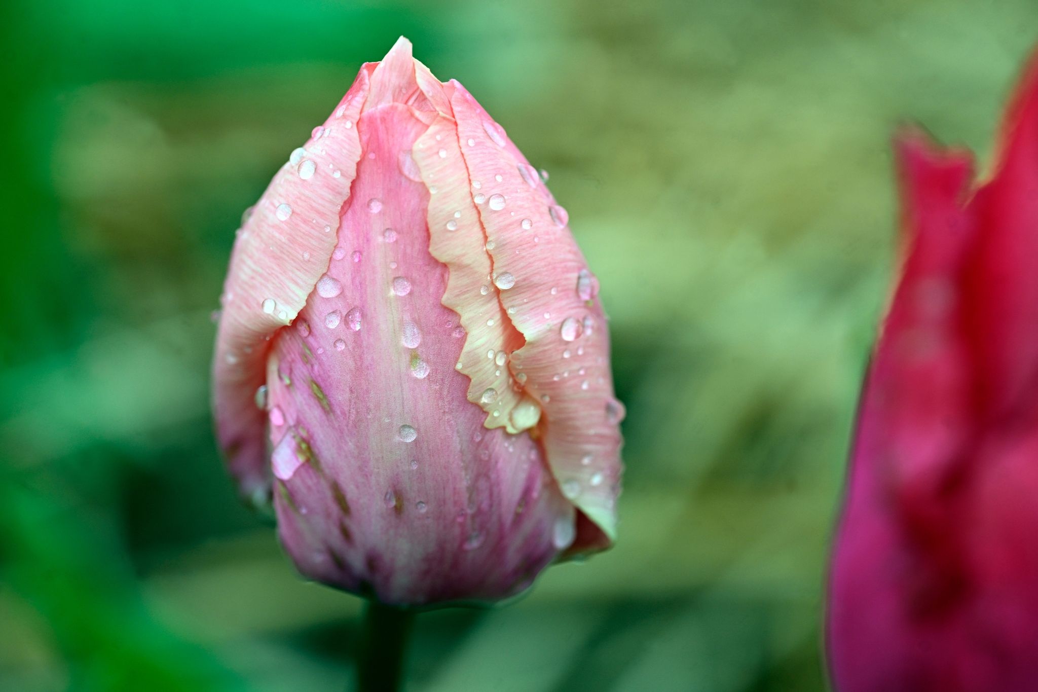 Wechselhaftes Wetter zu Ostern in Deutschland