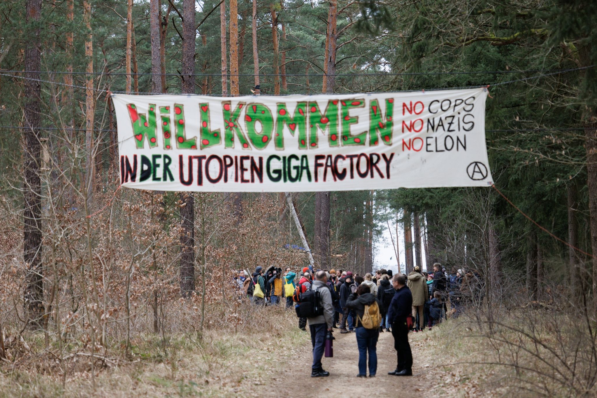 Tesla-Erweiterung: Konflikt um Protestcamp deutet sich an