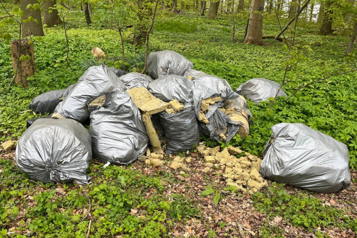 Süsel: Unerlaubte Abfallentsorgung im Wald in Ostholstein – Zeugen gesucht