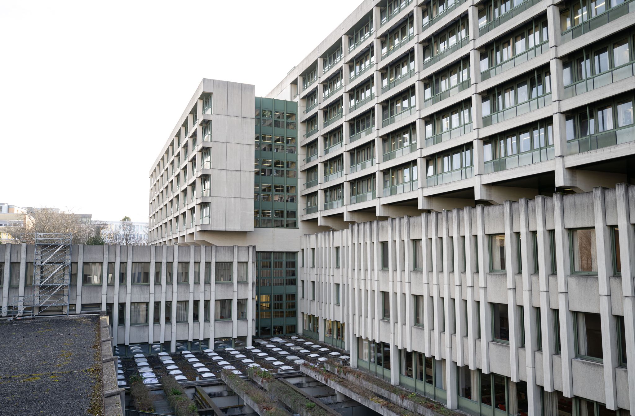 Frau zahlte Millionensumme an angeblichen Hellseher