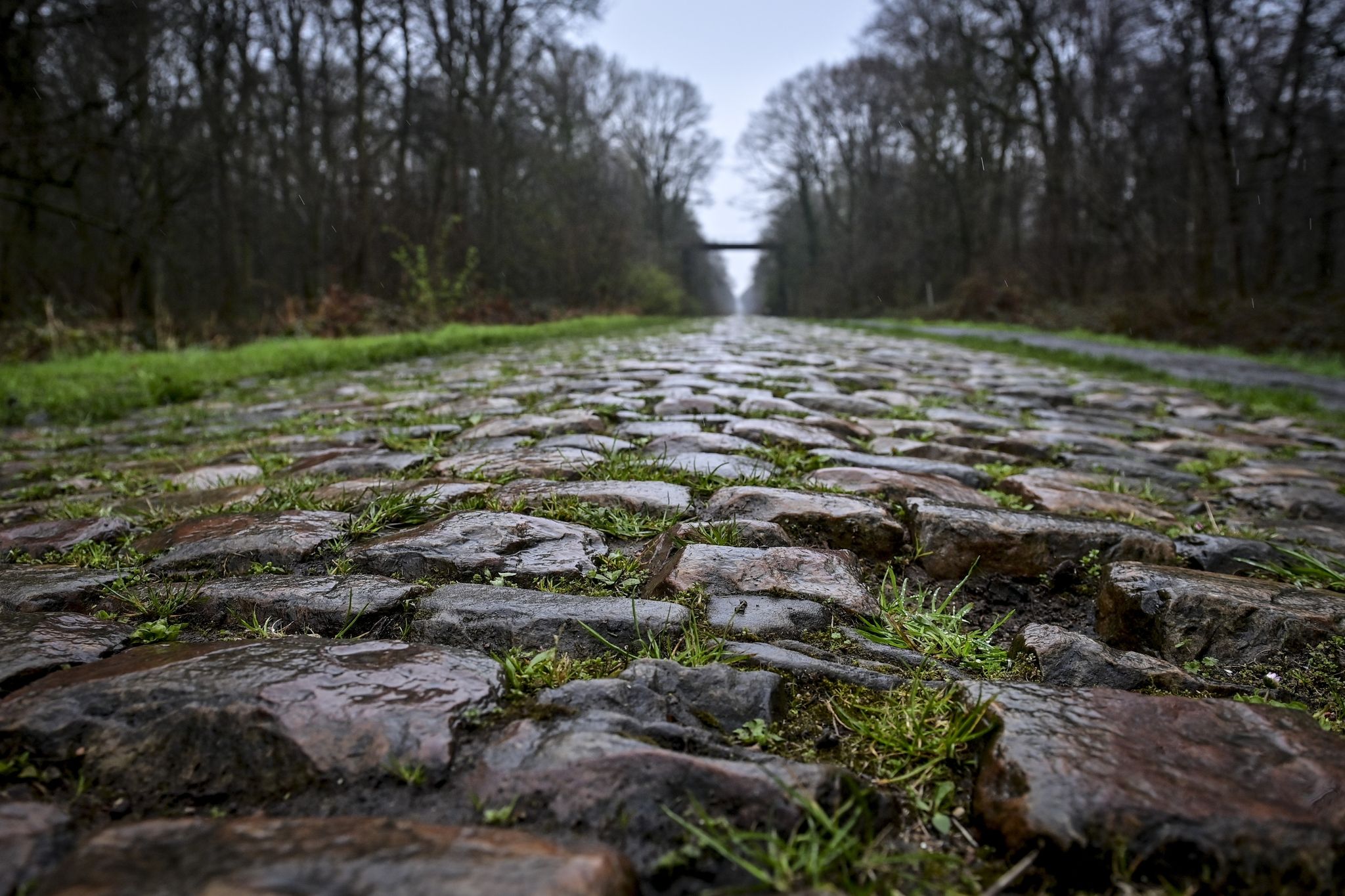 Radprofis uneins über Schikane vor gefürchtetem Wald von Arenberg
