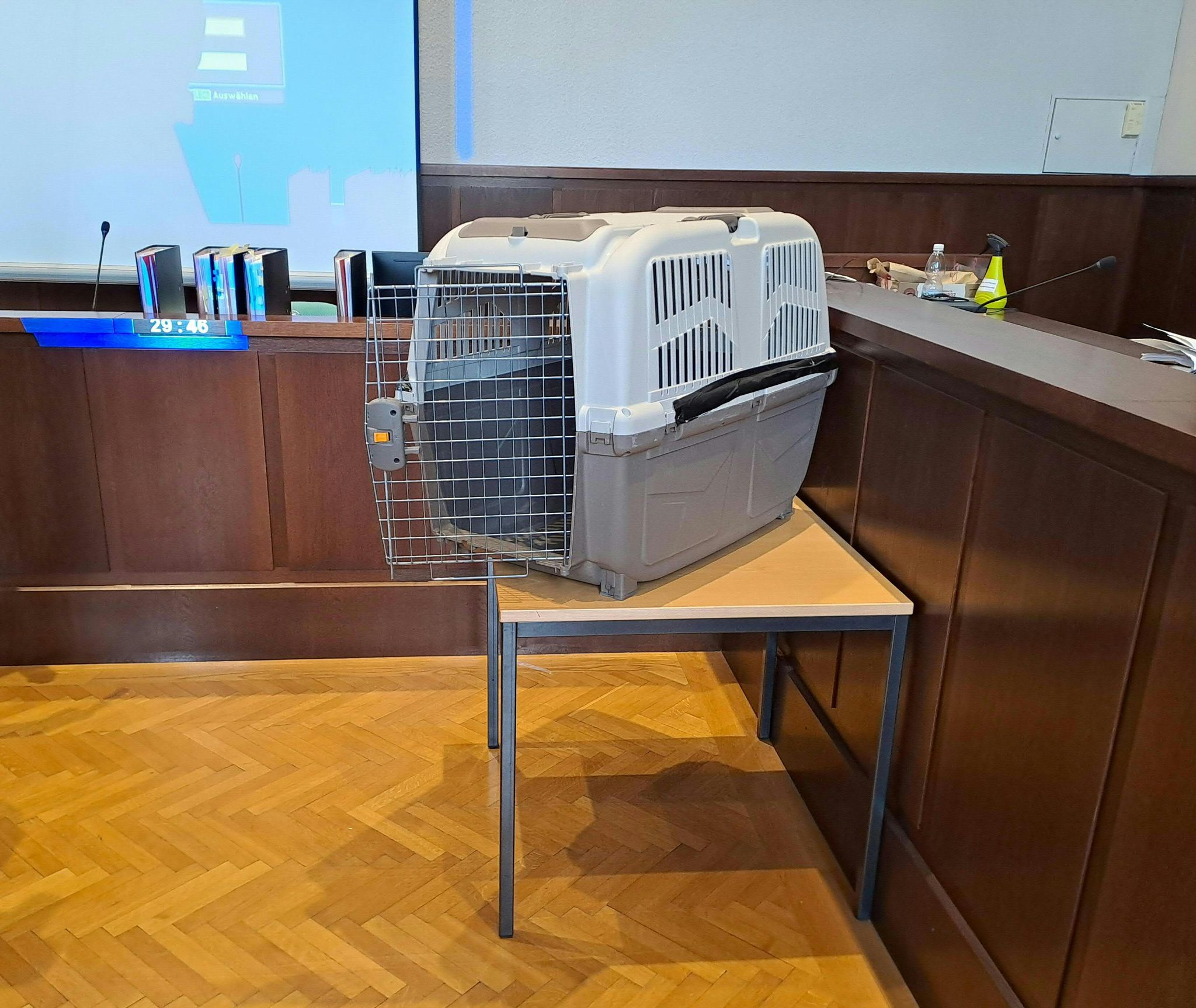 Trotz gravierender Fehleinschätzung: Anwalt verlangt 150.000 Euro Schmerzensgeld vom Bundesland Niederösterreich