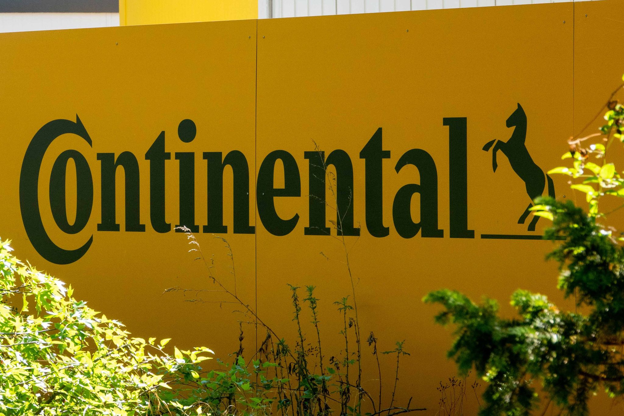 Millionenbußgeld im Abgasskandal – Continental soll zahlen