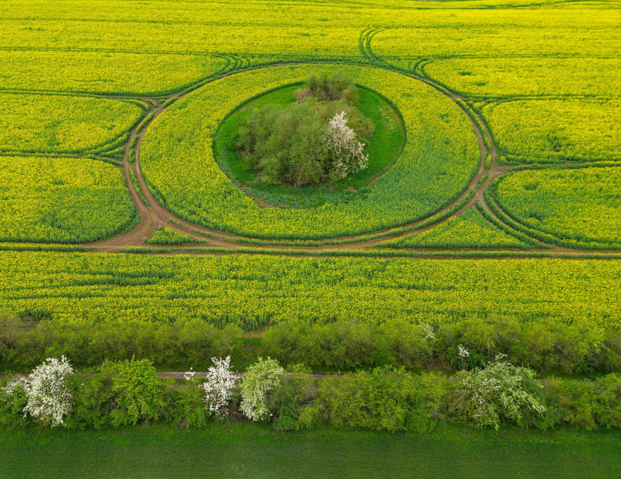 Es wird zum Wochenende hin wieder wärmer