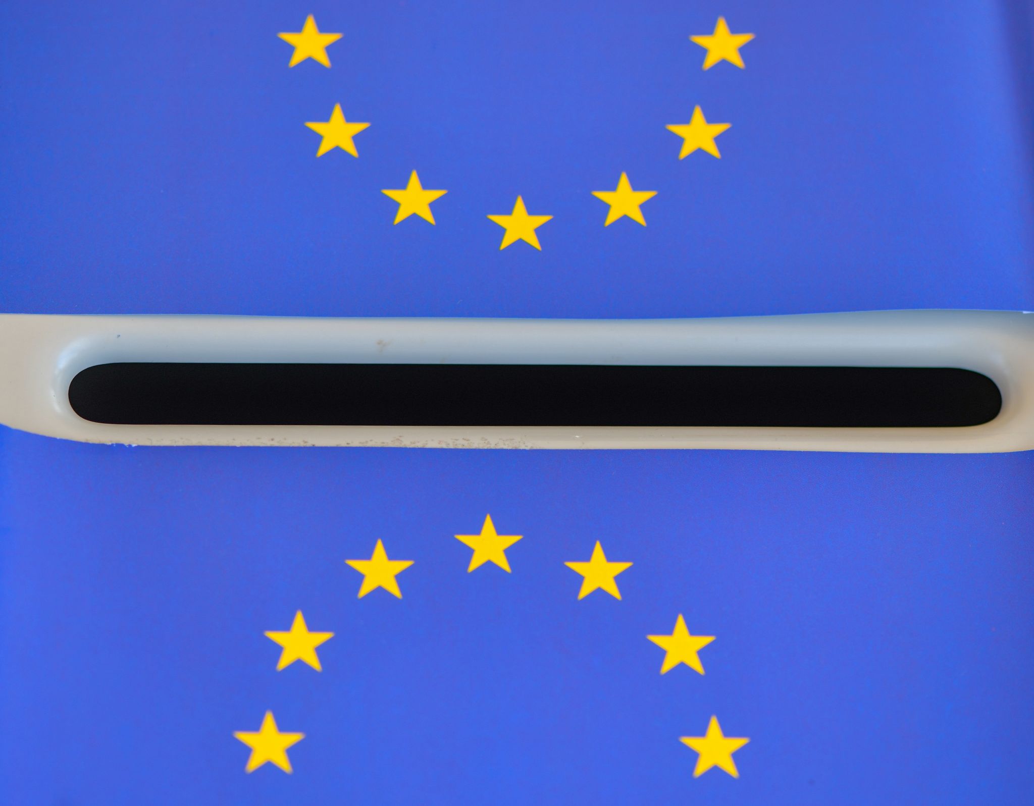 Global, politisch, jung: Mit 16 bei der Europawahl dabei