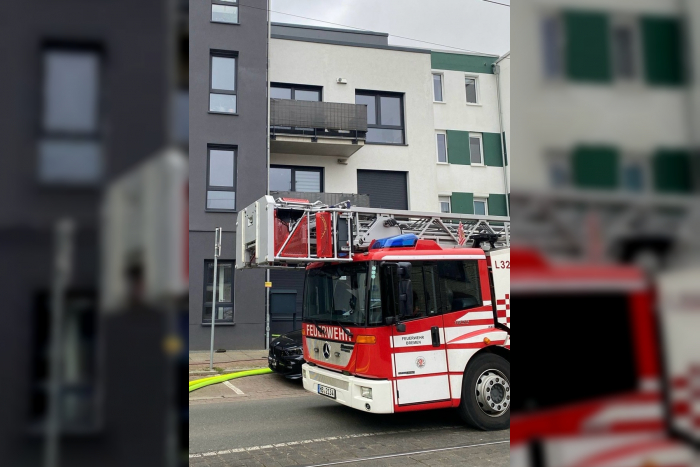 Feuer im Keller: Zwei Personen und zwei Katzen gerettet