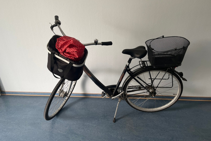 Malchin: Damenrad sucht Besitzerin