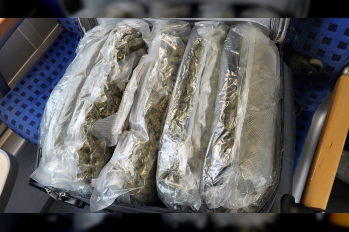 Flensburg: Zoll stoppt Drogenschmuggler im Reisezug