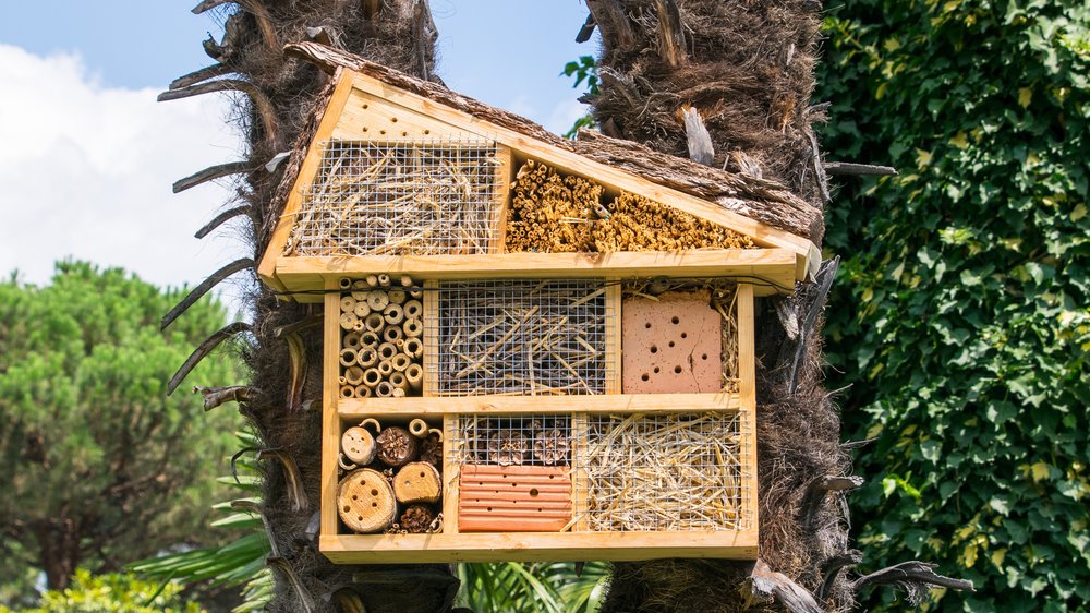 Artenschutz im eigenen Garten: Was ein gutes Insektenhotel ausmacht