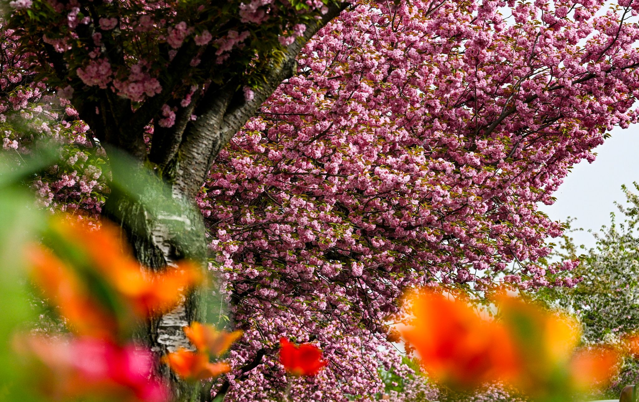 Aprilwetter in Deutschland: Von Sommer zu Winter und zurück