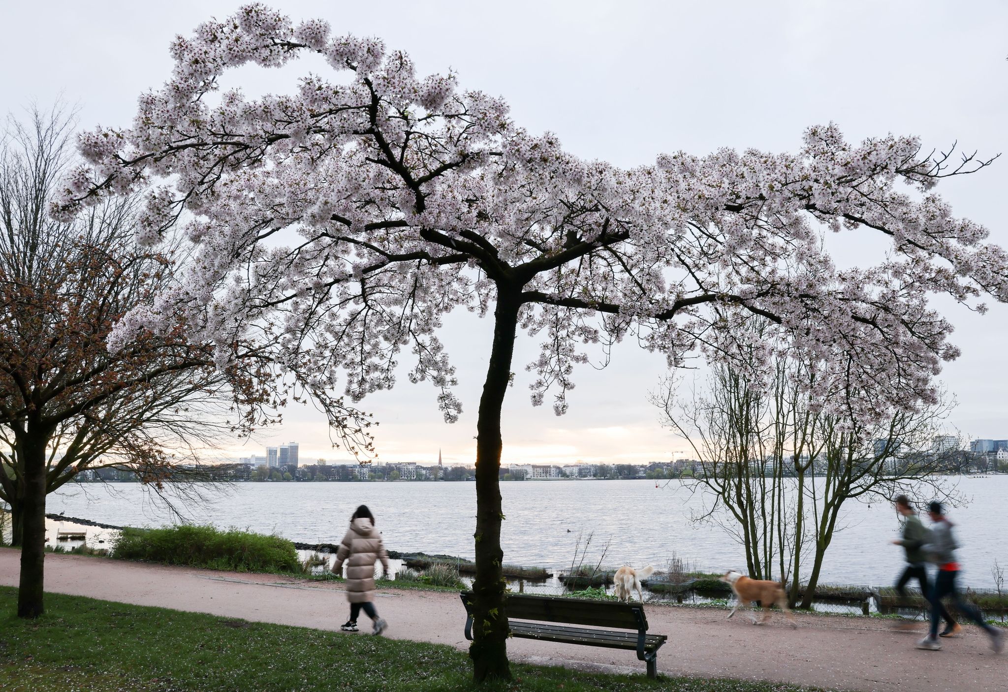 Sommerwetter folgt auf Regen und Gewitter