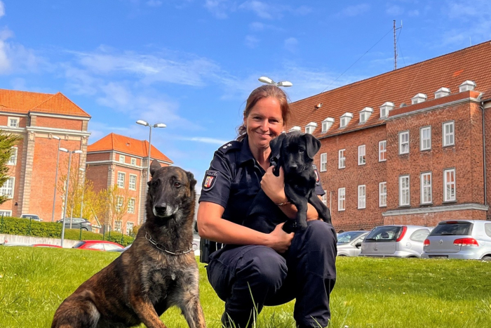 Neue Brandmittelspürhündin Naira bei der Polizei in Kiel