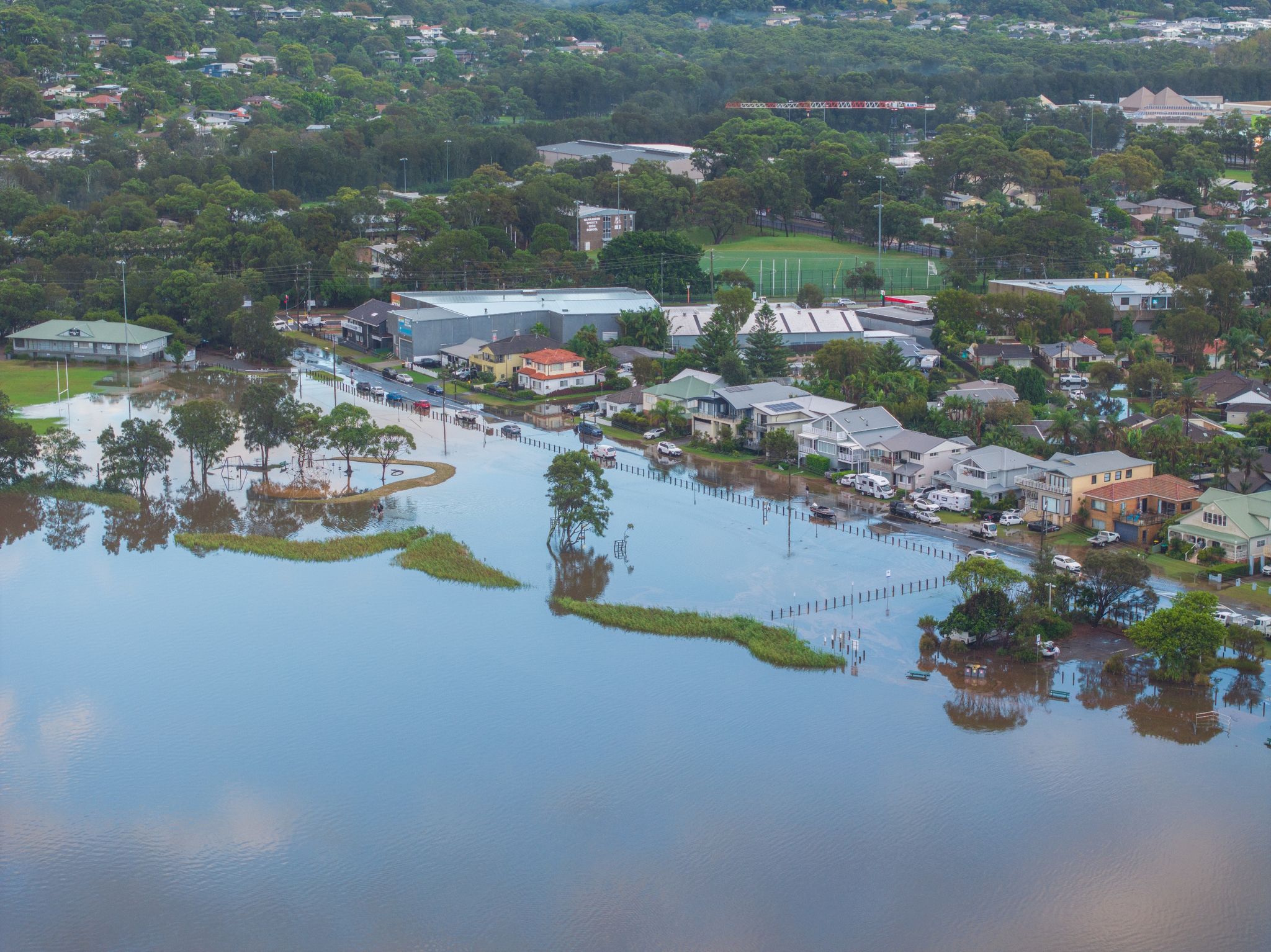 Sydney von Extremregen heimgesucht – Straßen überflutet und Brücken gesperrt