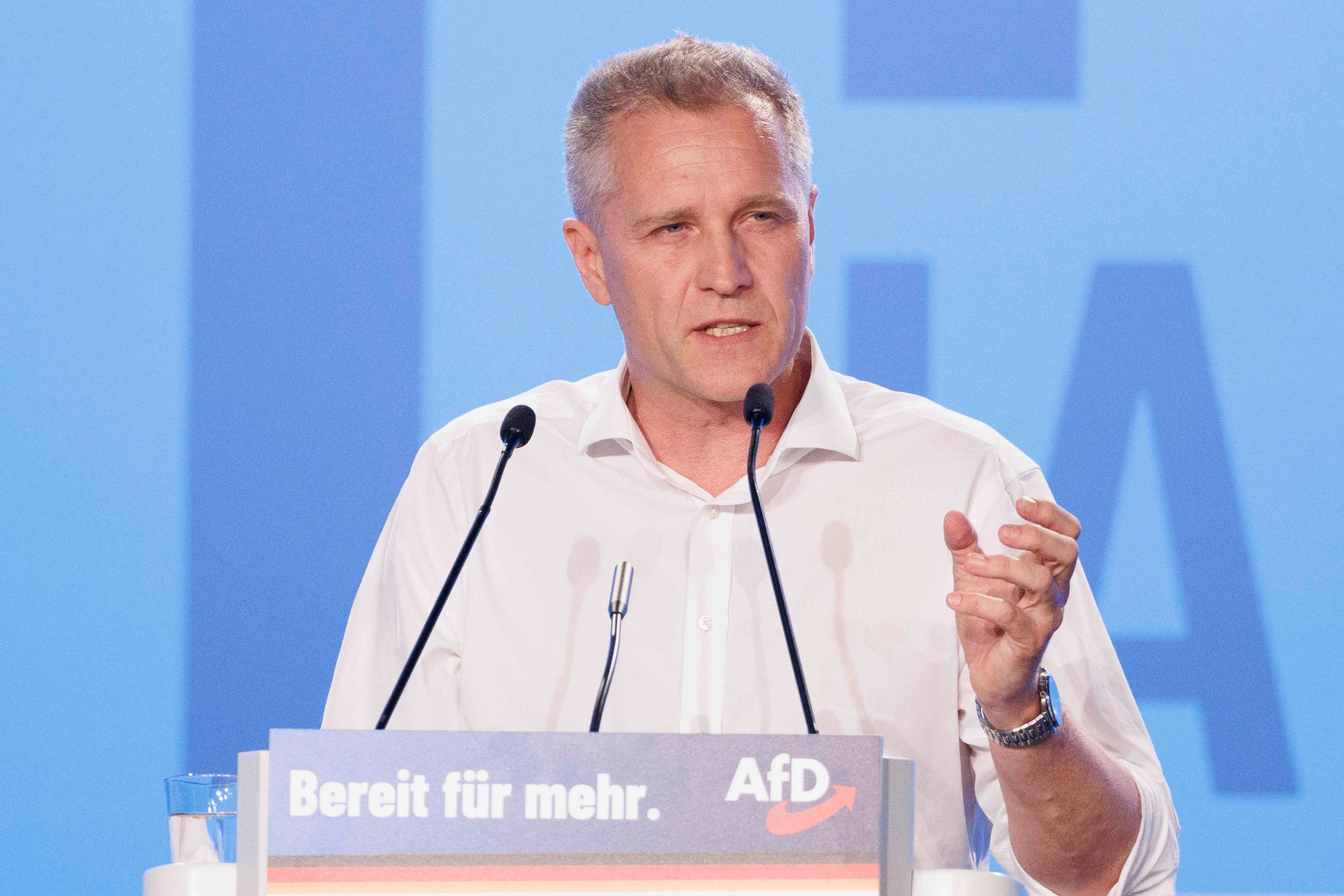 Bystron soll AfD Auskunft zu Vorwürfen aus Tschechien geben