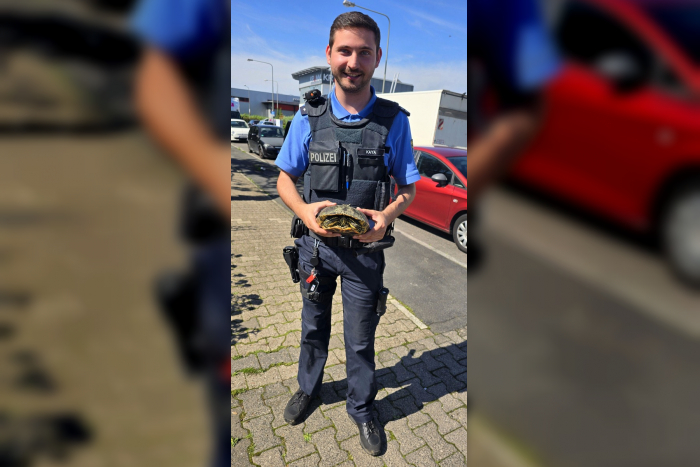 Frankfurt am Main: Langsame Rettungsaktion auf der Autobahn