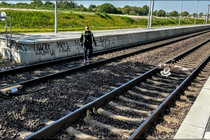 Kiel: Gänsemarsch legt am 1. Mai Bahnverkehr lahm
