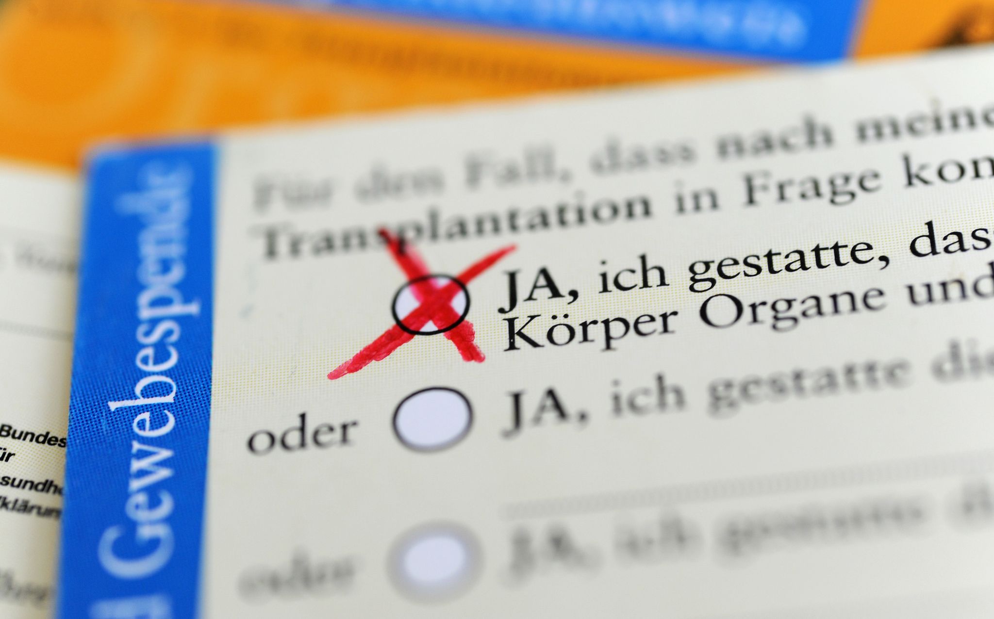 Organspende in Deutschland: Experten warnen vor zu geringer Beteiligung