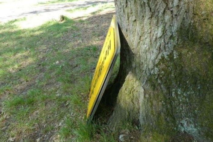 Moorrege: Ortstafeln im Naherholungsgebiet gefunden