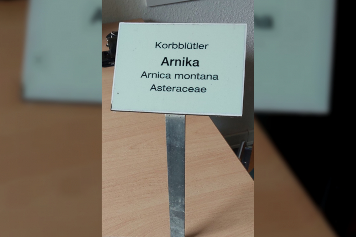 Diebstahl aus Apothekergarten in Plön,Unbekannte stehlen Beschilderungen aus Apothekergarten – Polizei sucht Zeugen.