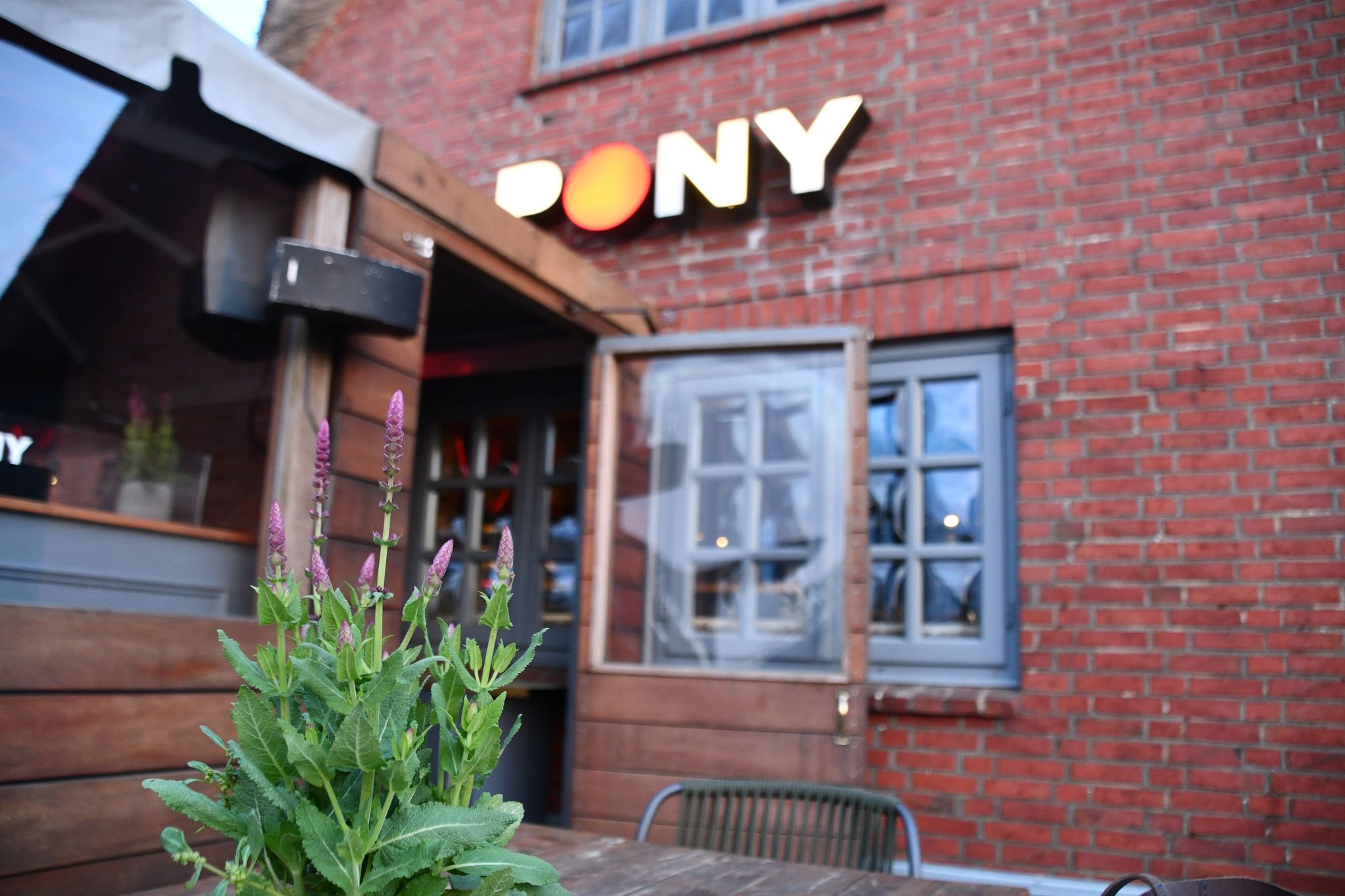 Rassistische Gesänge auf Sylt: Politik schlägt Alarm