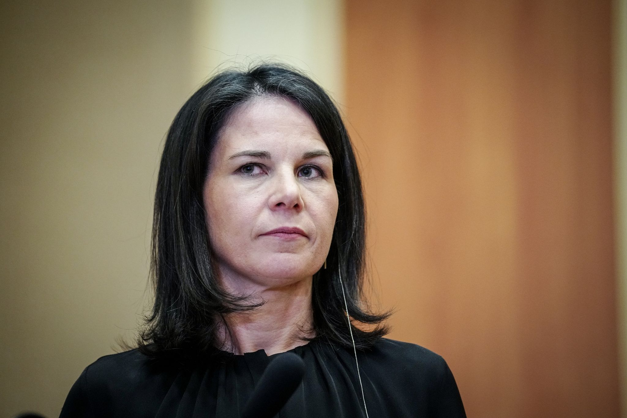 Baerbock: Visaverfahren für Fachkräfte stark beschleunigt