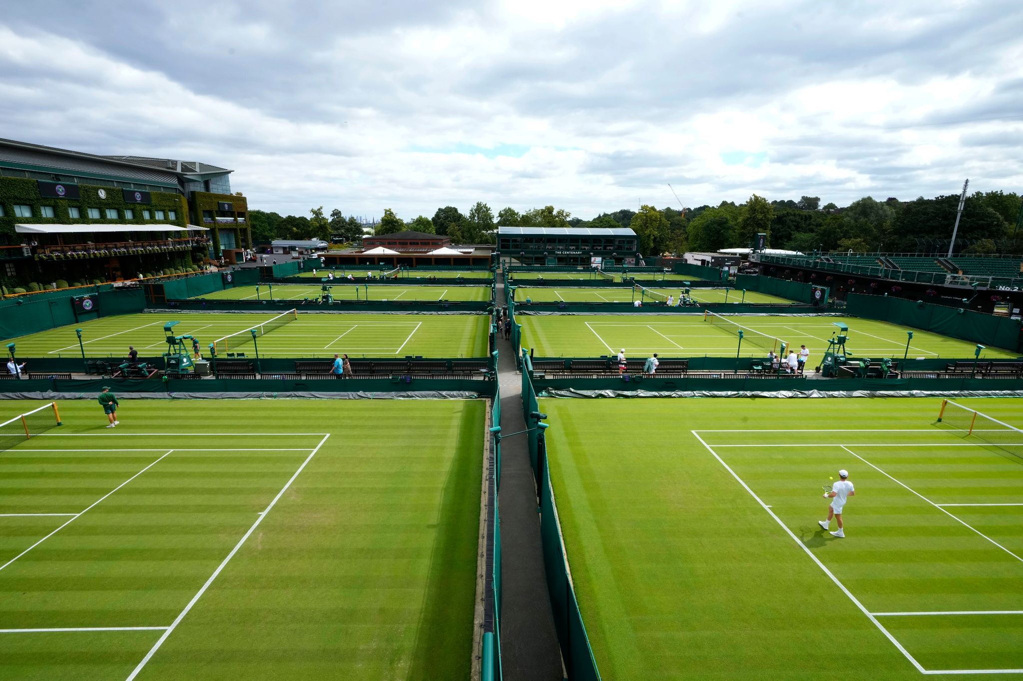 Wimbledon beginnt: Chancen für Zverev, Rätsel um Djokovic