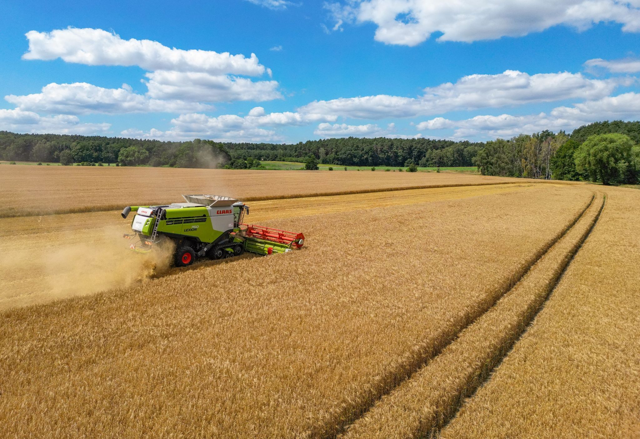 Landwirte profitieren von Steuererleichterungen durch Ampel-Koalition