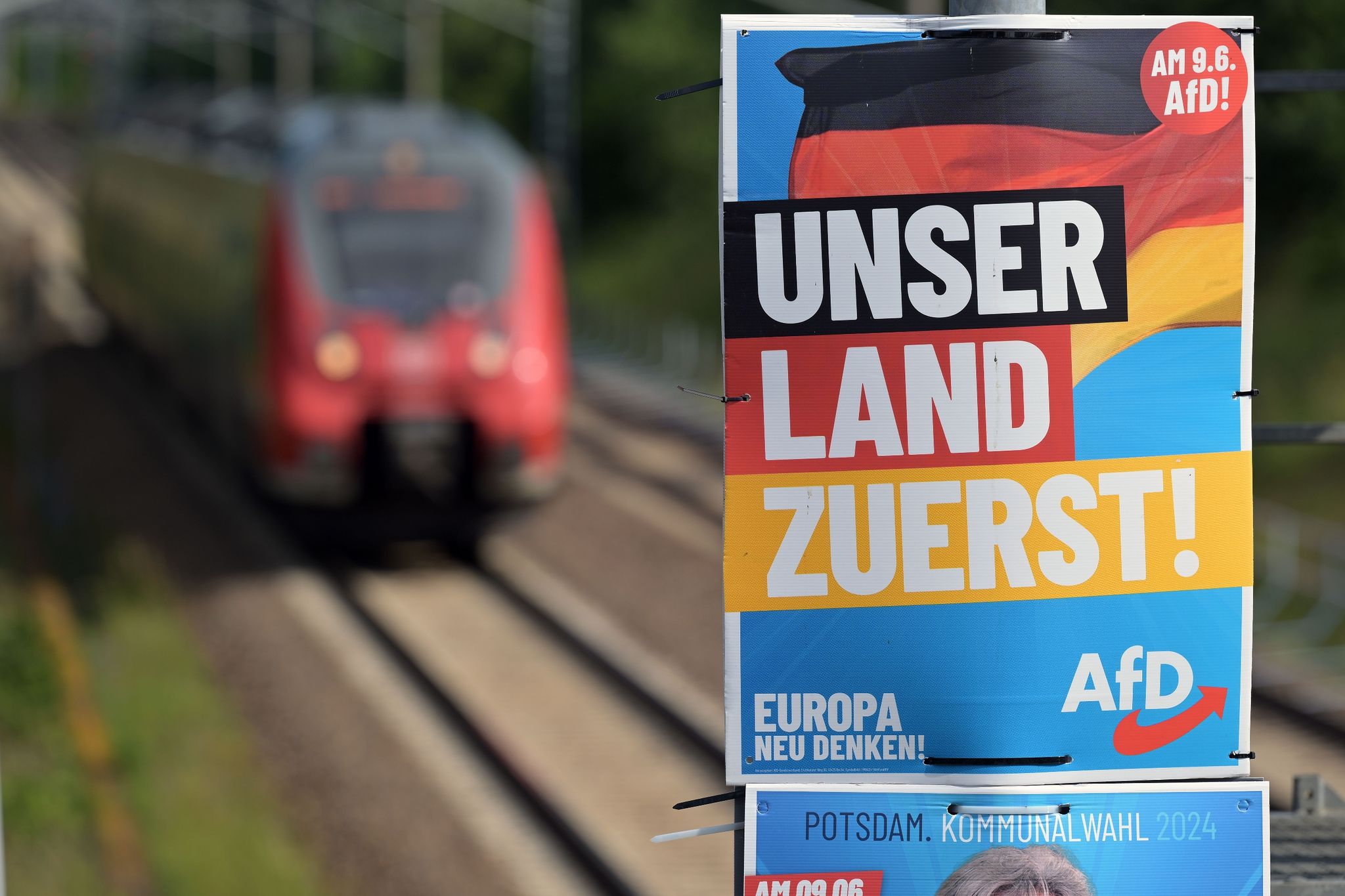 Historikerin warnt vor Überhöhung der AfD nach Europawahl