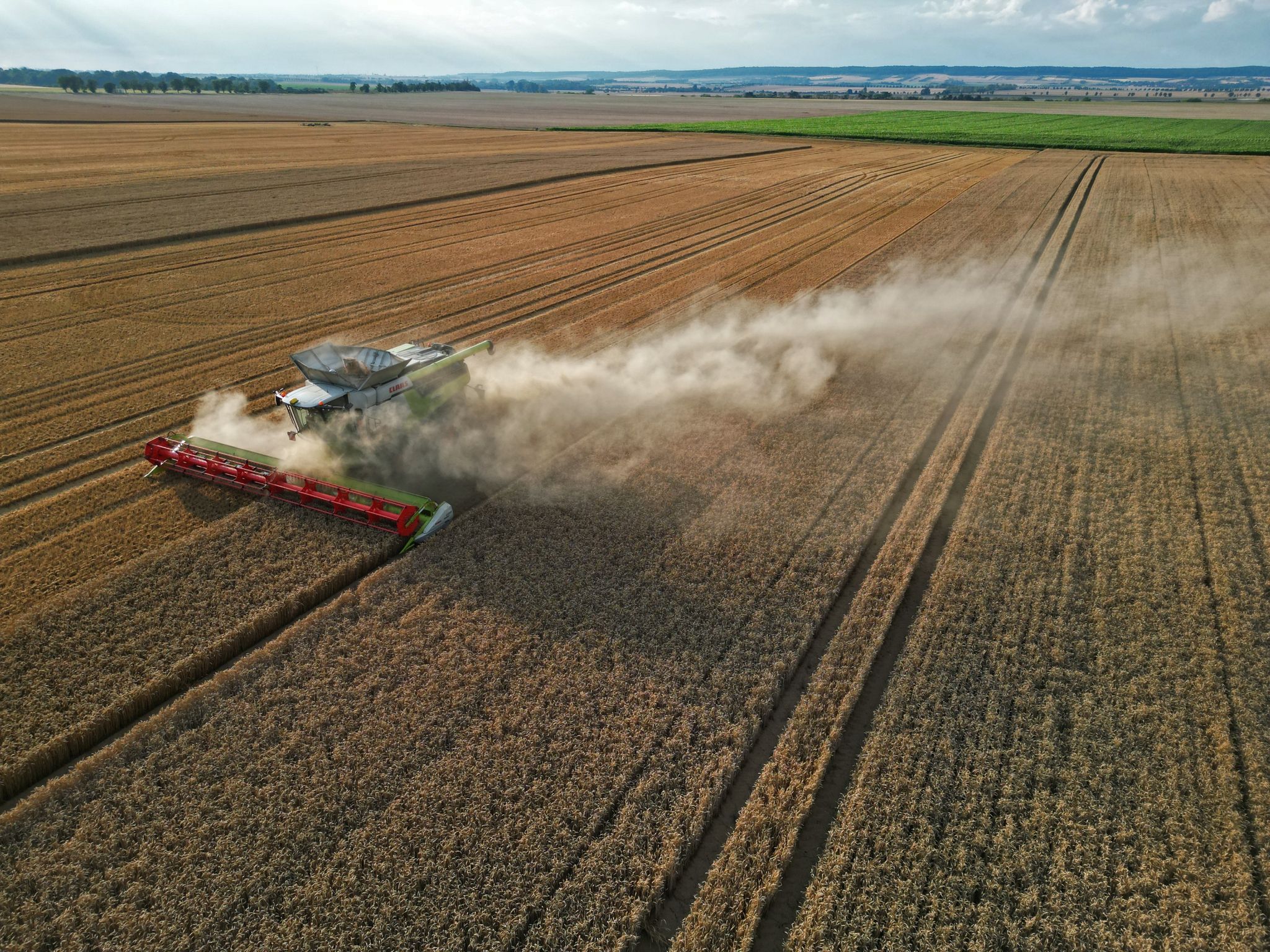Landwirte hoffen auf Sonne vor Erntebeginn