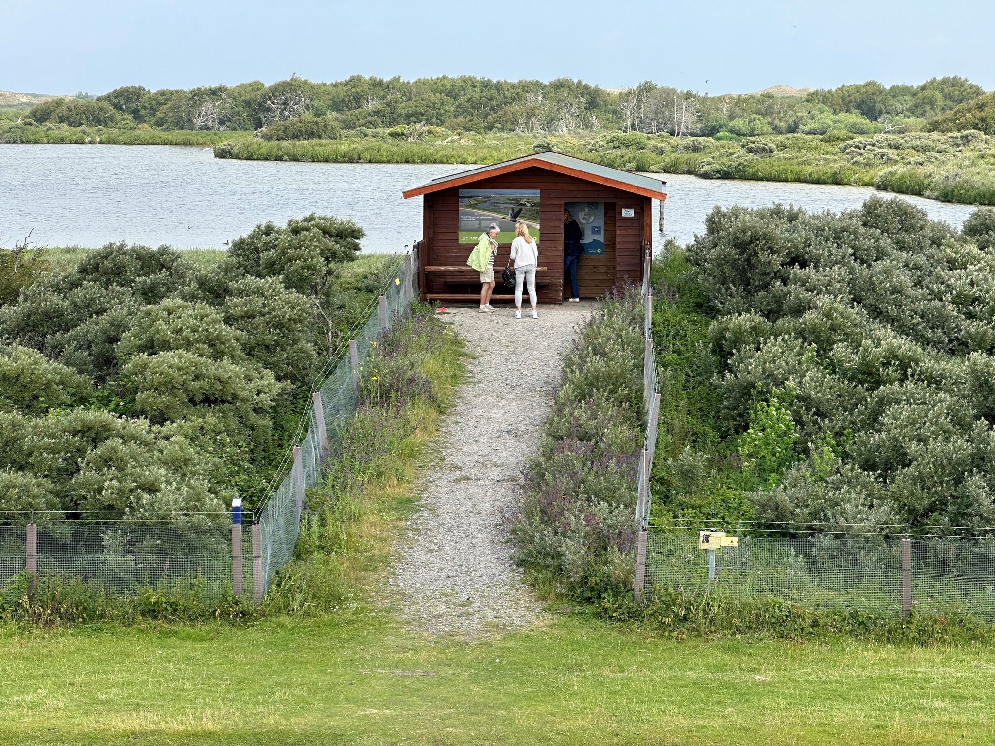 Warnung vor Hysterie nach Wolf-Sichtung auf Norderney