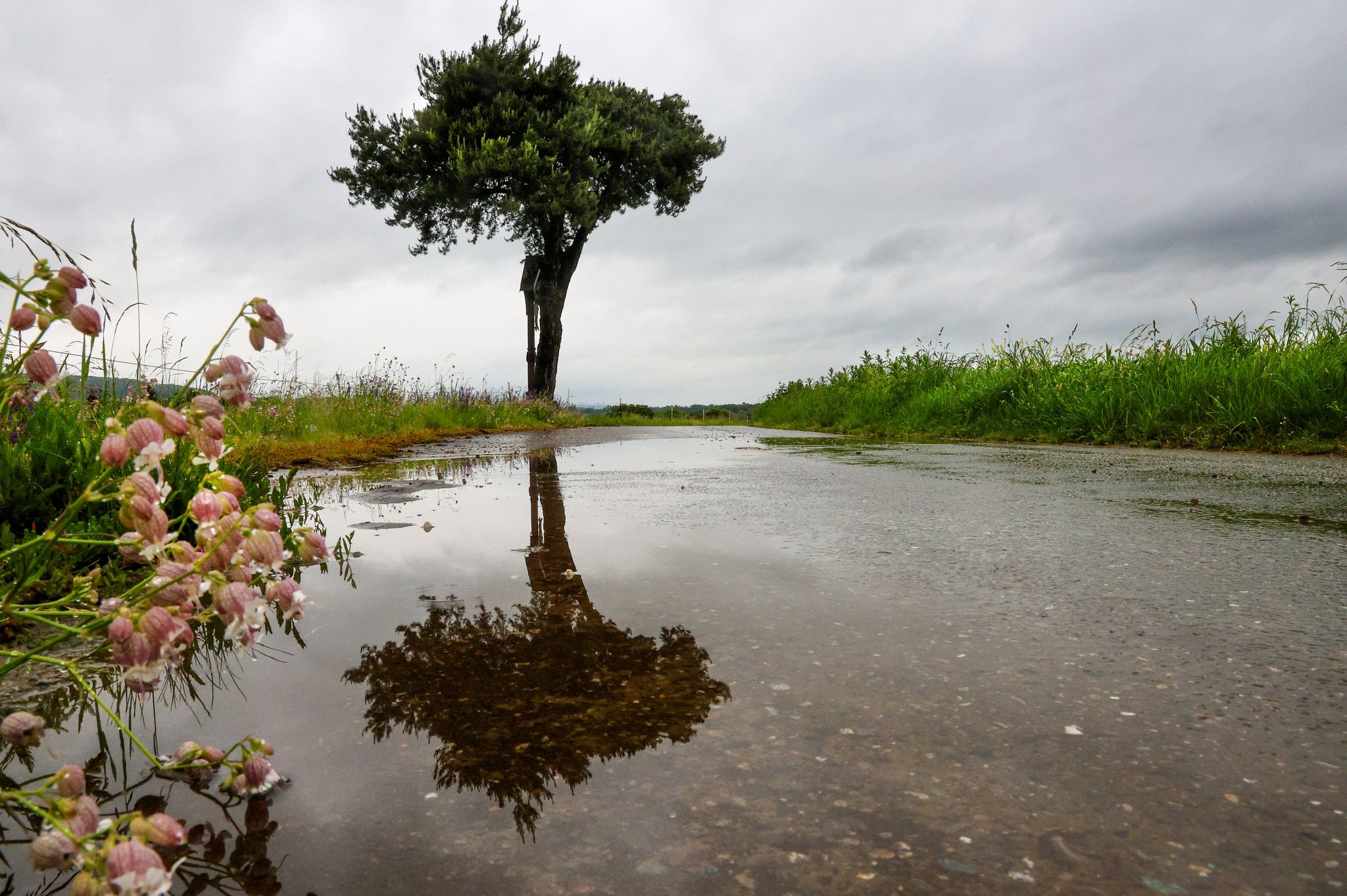 Deutscher Wetterdienst: «Der große Regen ist vorbei»