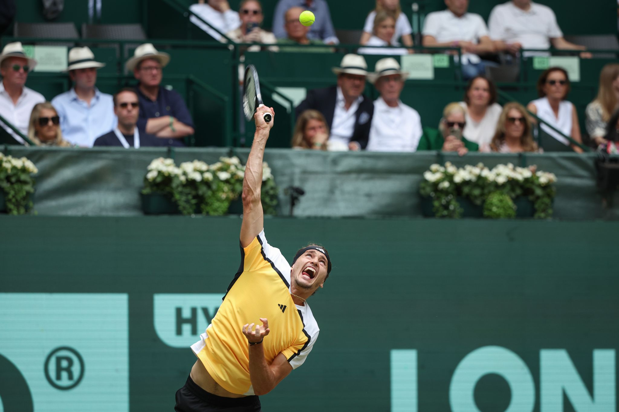 Alexander Zverev träumt vom Titel in Halle, Zverev gewinnt hartes Viertelfinale gegen Fils und zieht ins Halbfinale ein.