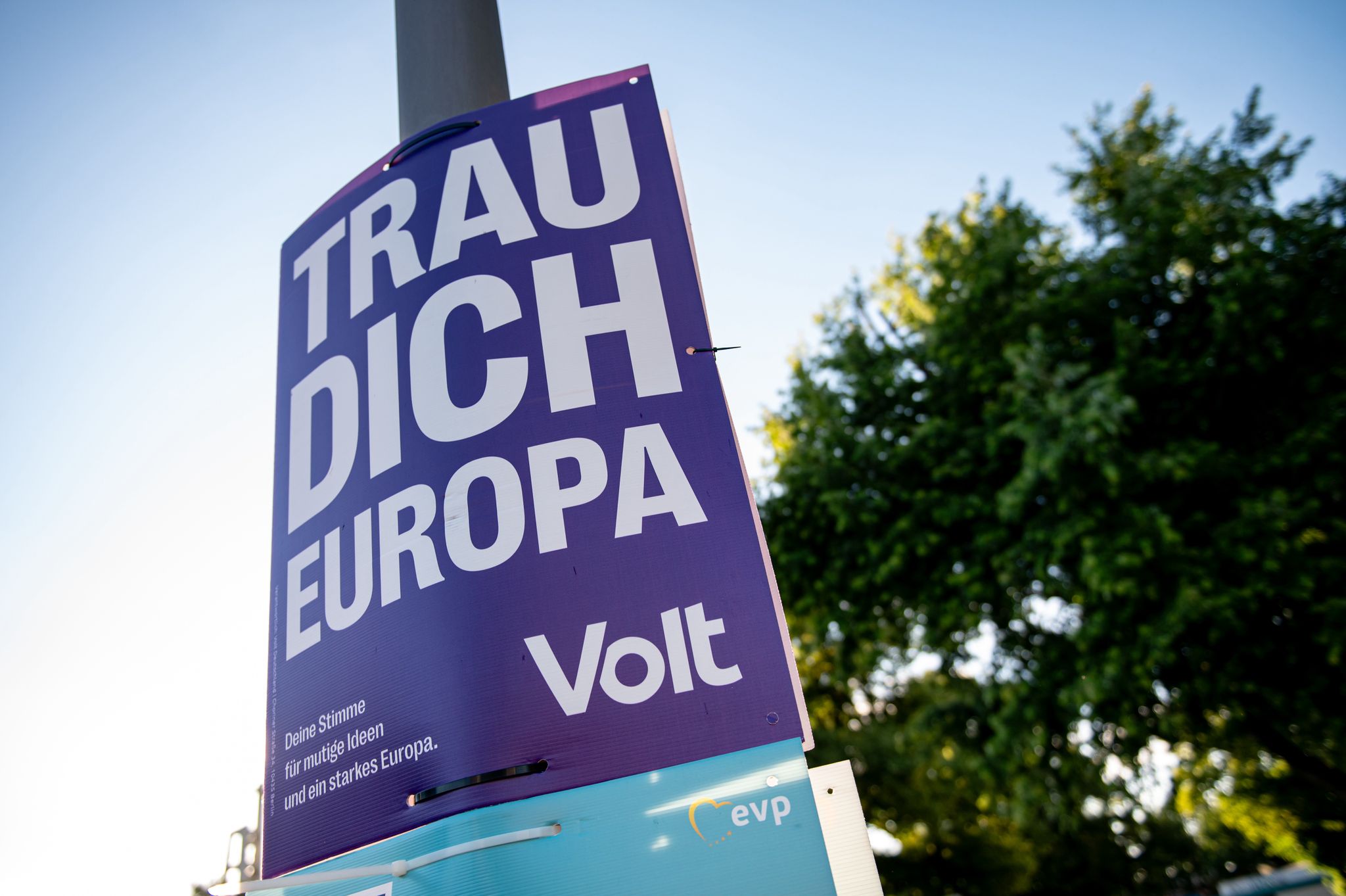 Jung und für Europa: Das steckt hinter Volt