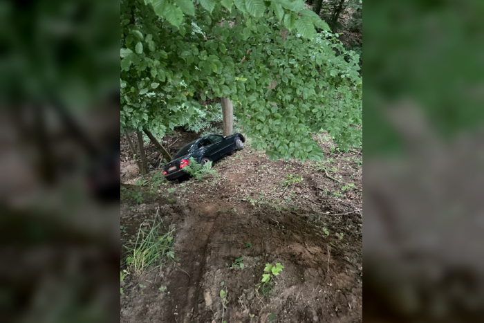 Schwalm-Eder-Kreis: Flucht vor Autobahnpolizei endet im Waldstück
