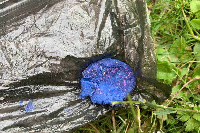 Saarbrücken-Dudweiler: Giftköder neben Fußweg ausgelegt