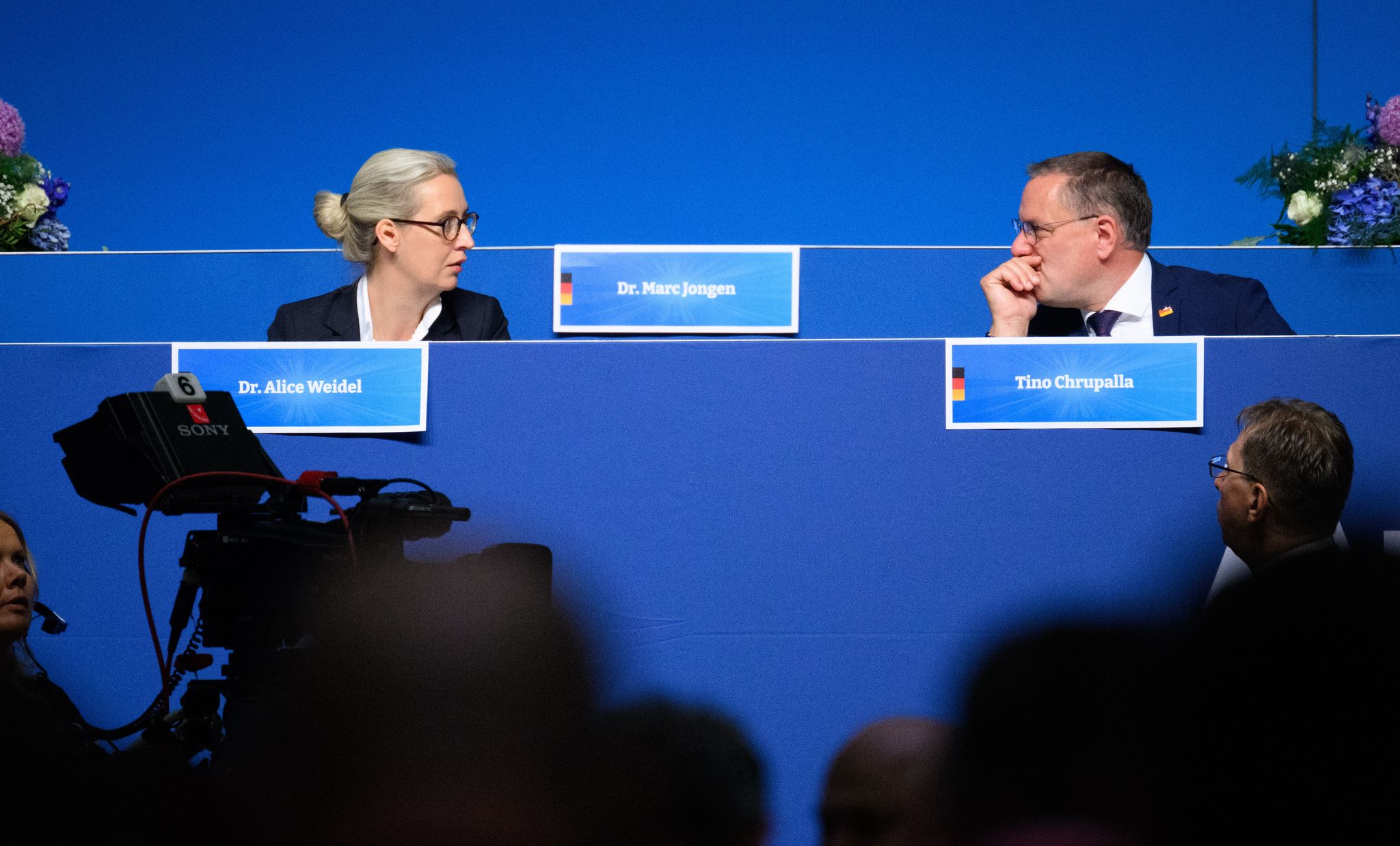 AfD-Delegation gründet gemeinsame Fraktion im EU-Parlament