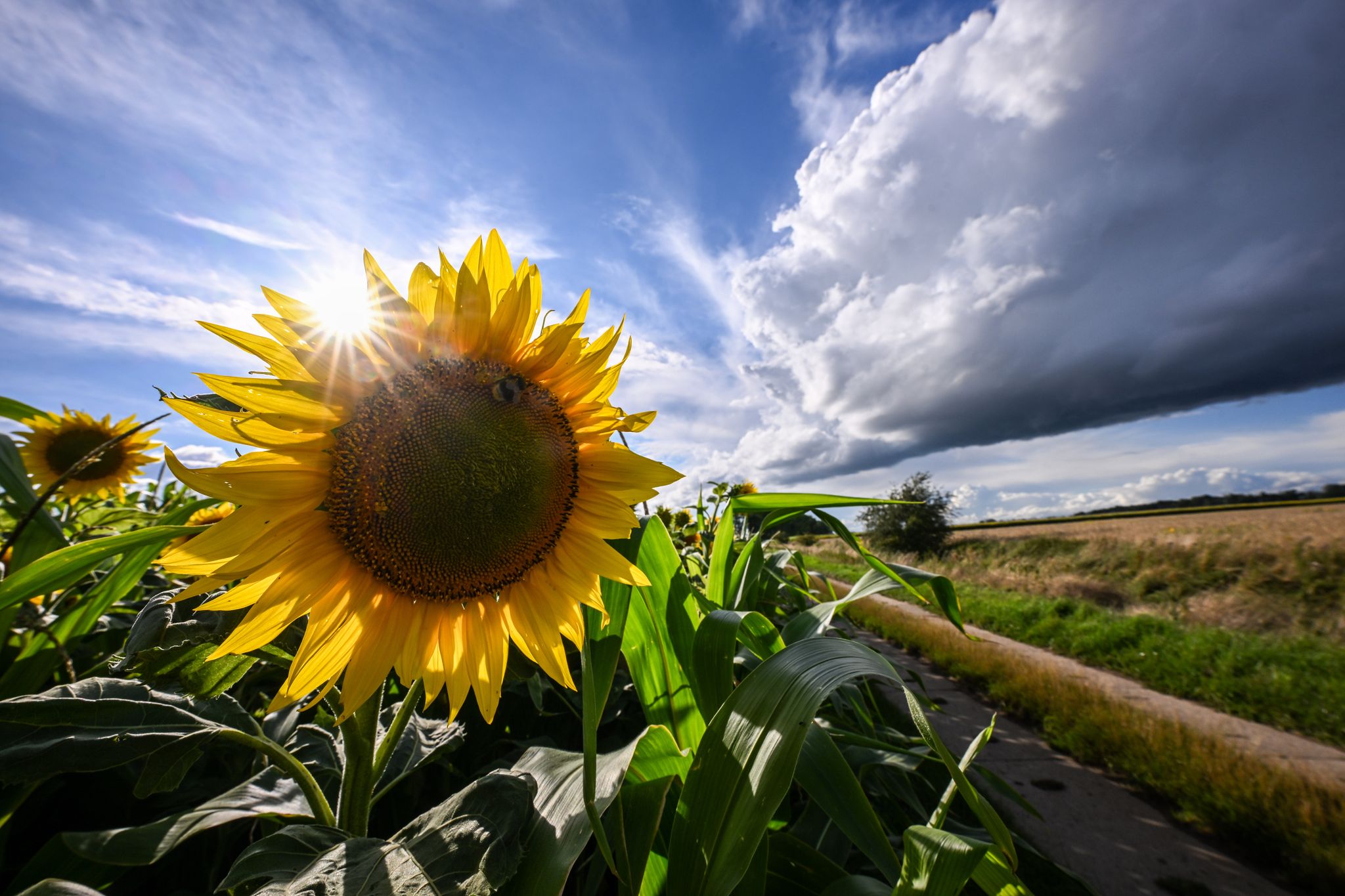 Wechselhaftes Wetter in Deutschland: Sonne, Regen und Gewitter im Mix, sagt DWD voraus