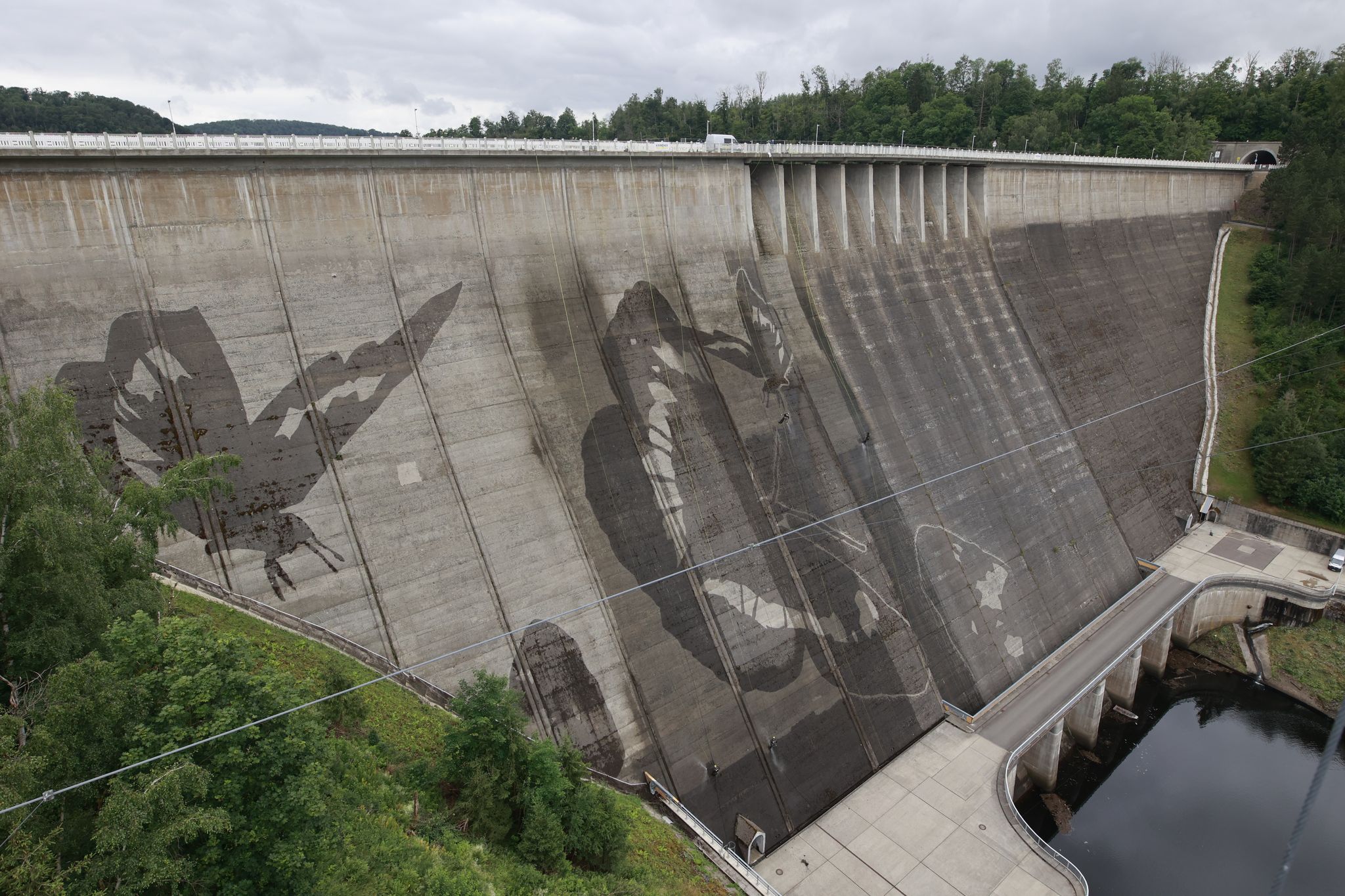 Schmetterlinge auf Staumauer: Kunstprojekt von Klaus Dauven