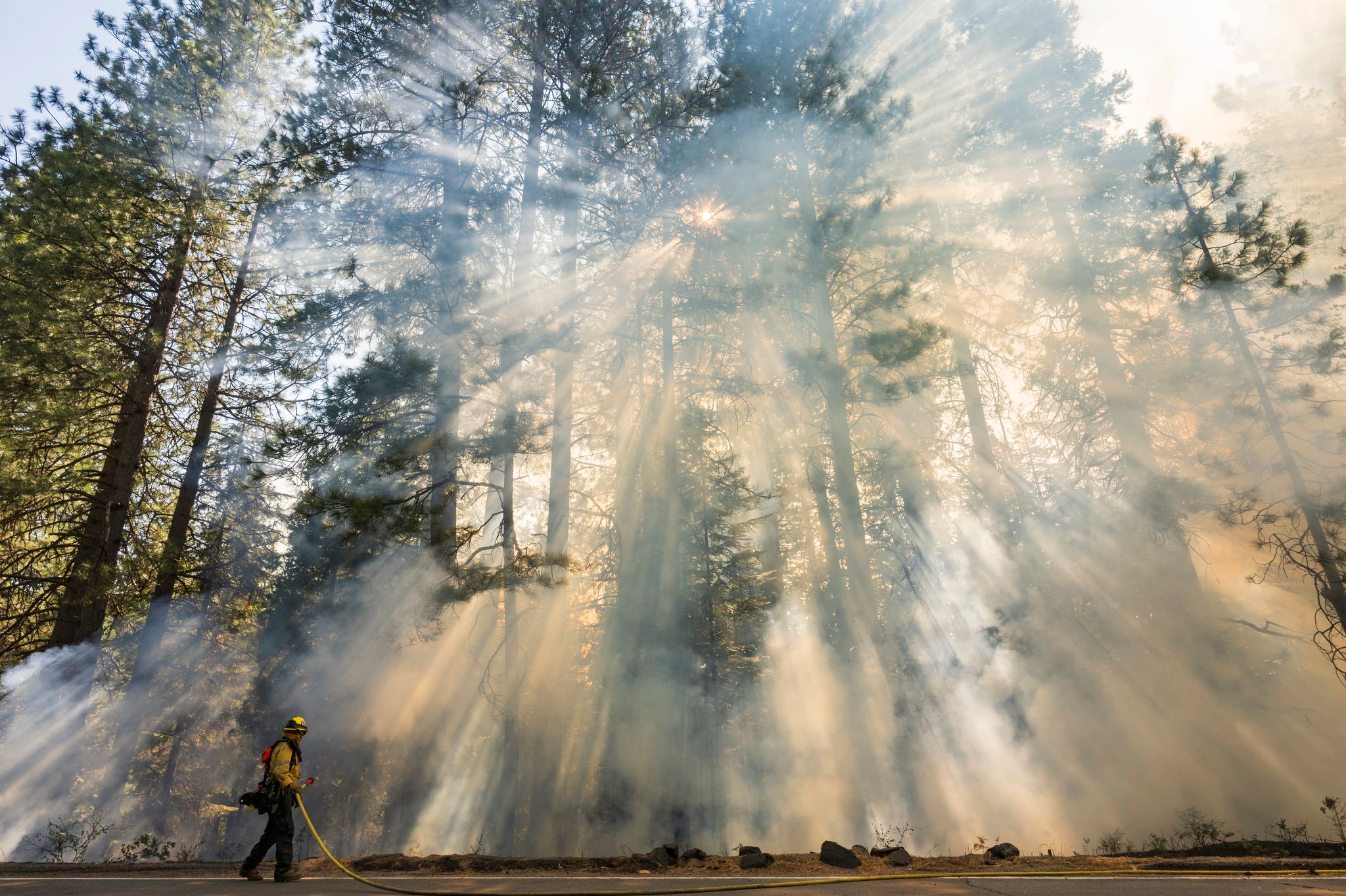 Waldbrand ist sechstgrößtes Feuer in Kaliforniens Geschichte
